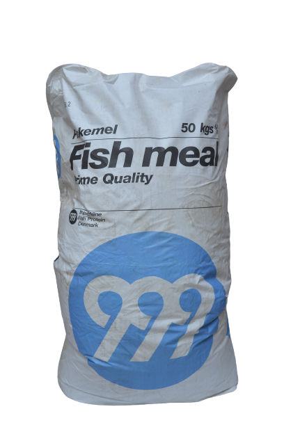 FISH FEED